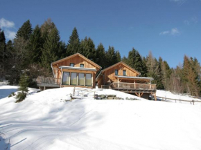 Cosy Chalet in Stadl an der Mur with Conservatory